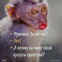 ���� Monea, ������, 53 ���� - ��������� 11 ������� 2020 � ������ �XXX�