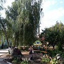 ���� �������, ��������, 76 ��� - ��������� 8 ��� 2020 � ������ ���� ����������