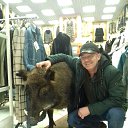  , -, 55  -  18  2020