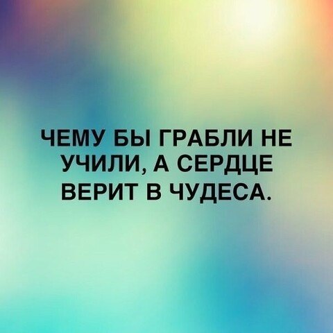   ! - 8  2020  10:17