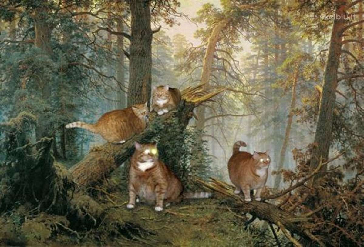    ! - 7