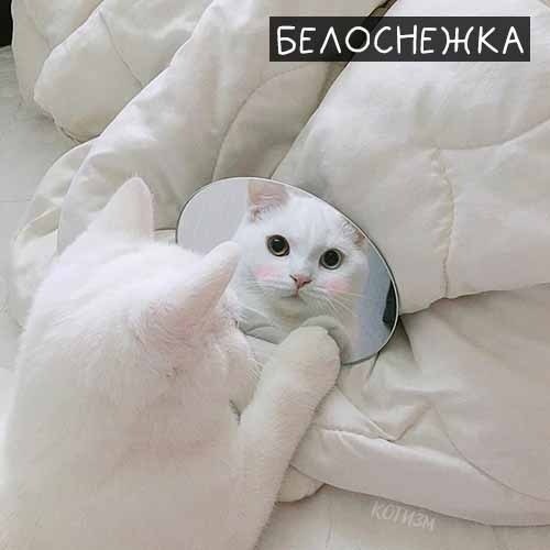       - 2