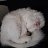 ���� Nadia, �����������, 35 ��� - ��������� 16 ���� 2020
