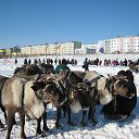 ���� ������, ������������, 69 ��� - ��������� 29 ���� 2020 � ������ ���� ����������