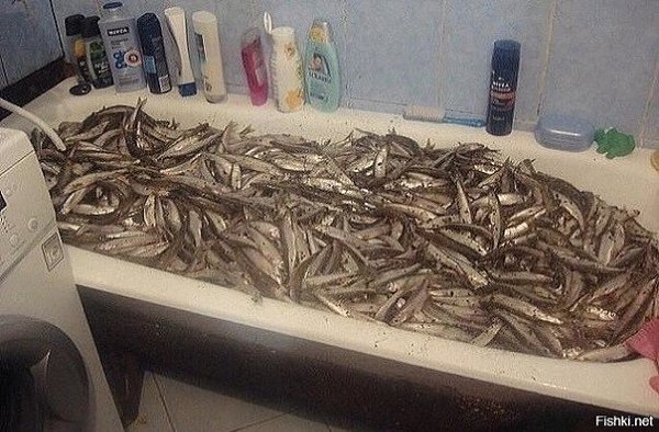 Мужики, может лучше пейте на рыбалке, а?!