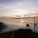 ���� �������, ���������, 46 ��� - ��������� 18 ������� 2020