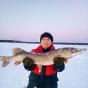 ���� ������, �����, 55 ��� - ��������� 29 ��� 2020 � ������ ���� ����������