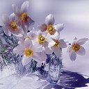 ���� Lara, ������� - ��������� 12 ������� 2020 � ������ �������