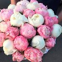 ���� Eva, ������������, 57 ��� - ��������� 21 ��� 2020 � ������ ���� ����������