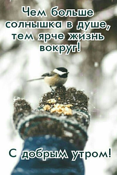 Чтобы утро добрым было, Нужно правильно проснуться, Распахнуть глаза пошире, Хорошенько потянуться. ...