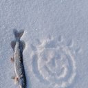 ���� �������, �����������, 71 ��� - ��������� 24 ������� 2020