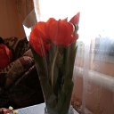 ���� �����, ������-��-���� - ��������� 8 ����� 2020 � ������ ���� ����������