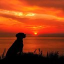 ���� �������, ���������, 47 ��� - ��������� 19 ��� 2020 � ������ ������ ��������