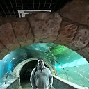 ���� �����, ������������, 46 ��� - ��������� 27 ������ 2020 � ������ �������������