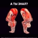 ���� ������, ������ - ��������� 26 ���� 2020 � ������ ����� ���������