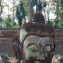 ���� ������, �����-���������, 49 ��� - ��������� 12 ������ 2020