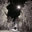 ���� Ice Queen, ����� - ��������� 24 ������ 2020 � ������ ���� ����������