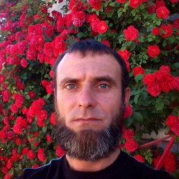 ����, ���������, 47 ���