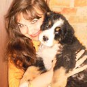 ���� ��������, �������, 54 ���� - ��������� 31 ��� 2020 � ������ ���� ����������