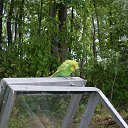 ���� ����, �����������, 63 ���� - ��������� 12 ���� 2020 � ������ ���� ����������