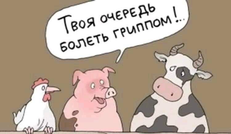  - 13  2020  15:09