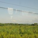 ���� �����, �������, 35 ��� - ��������� 1 ������� 2020 � ������ ���� ���� ������