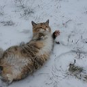 ���� �������, ������ - ��������� 26 ���� 2020 � ������ ���� ����������