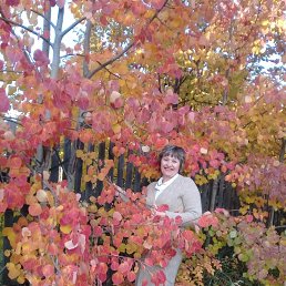 �����, ����-������, 61 ���