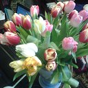 ���� �������, ���������, 66 ��� - ��������� 18 ��� 2020 � ������ ���� ����������