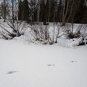 ���� �������, �����������, 58 ��� - ��������� 22 ���� 2020 � ������ �������� �����