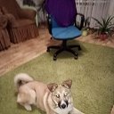 ���� ���������, ����� - ��������� 15 ����� 2020 � ������ ������ ��������