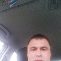 ���� ���, �����������, 40 ��� - ��������� 8 ������ 2020