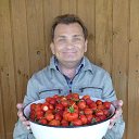 ���� ����������, �����-��������� - ��������� 13 ���� 2020 � ������ ���� ����������