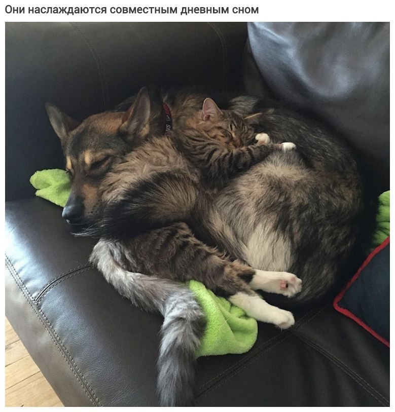 o   oo ooo o, o  o  . - 6