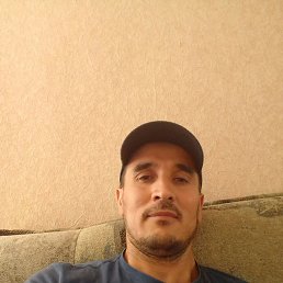 ��������, �������, 48 ���