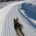 ���� ���������, �����, 48 ��� - ��������� 31 ������ 2020 � ������ ���� ����������