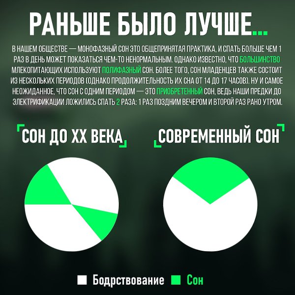 Полифазный сон или сон гениев. Как Да винчи, Тесла и Сальвадор Дали высыпались за 2-4 часа? - 4