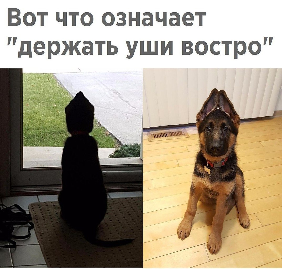 ������� - 9 ������ 2020 � 19:13