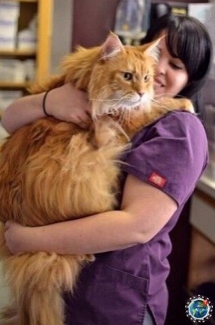 oo ocop a a pap oa oo -o! # - 2