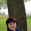 ���� ������, ������ - ��������� 7 ������ 2020