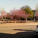 ���� �������, ��������� - ��������� 26 ������ 2020 � ������ ���� ����������