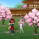 ���� �����, ������ ���, 31 ��� - ��������� 12 ������� 2020 � ������ �Tropikania�