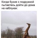 ���� �������, ������, 49 ��� - ��������� 13 ������� 2020 � ������ ������ ��������