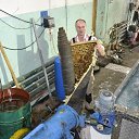 ���� ������, �����������, 55 ��� - ��������� 6 ������ 2020 � ������ ���� ����������