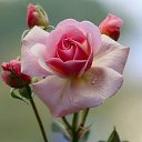 ���� ������, ������ - ��������� 29 ���� 2020 � ������ ������ ������