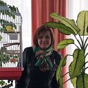 ���� �����, ���� - ��������� 11 ������ 2020 � ������ ���� ����������