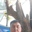 ���� ������, �������, 55 ��� - ��������� 25 ������ 2020 � ������ ���� ����������