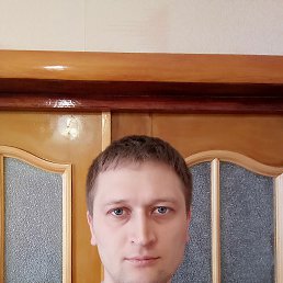 ������, ���������, 41 ���