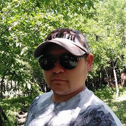 , 34, 