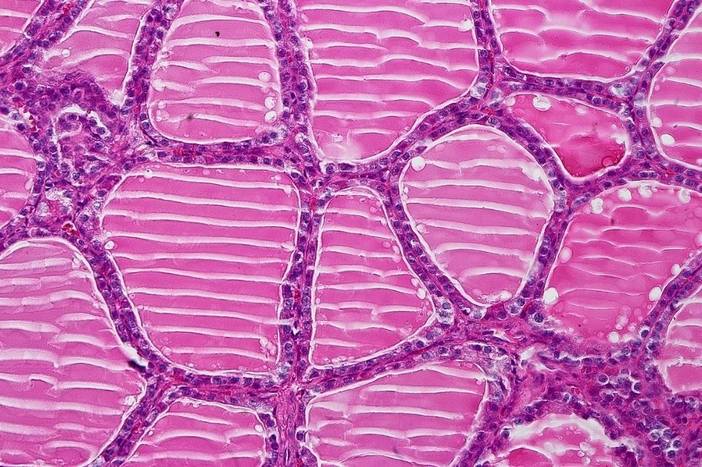 �������� ����������� ���������� ������.�������� ������ ����������� ���������� � ��������� � ������ ...